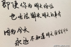 短句精辟,副标题的艺术：简洁与吸引力的完美结合