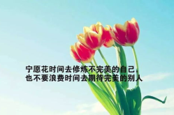 正能量的句子 人生感悟 努力工作,正能量工作感悟