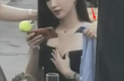 文娱圈吃瓜平常，及快养肥的猪要跑！苹果回流中国？印度急了召回苹果反垄断侦察，吃瓜文娱