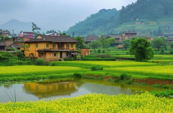 农村自然风景,农村自然美景的画卷